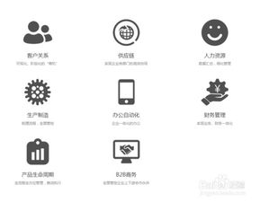 外贸公司管理软件