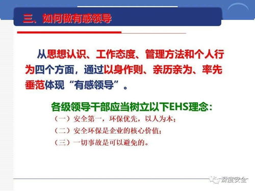 精品ppt 跨国公司安全管理文化分享