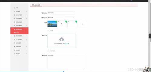 springboot毕设村委办公管理系统程序 论文 部署